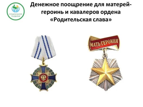 Родительский орден как получить. Статут ордена &quot;родительская слава&quot; женский. медаль ордена родительская слава. медаль ордена родительская слава как получить. орден родительская слава льготы.