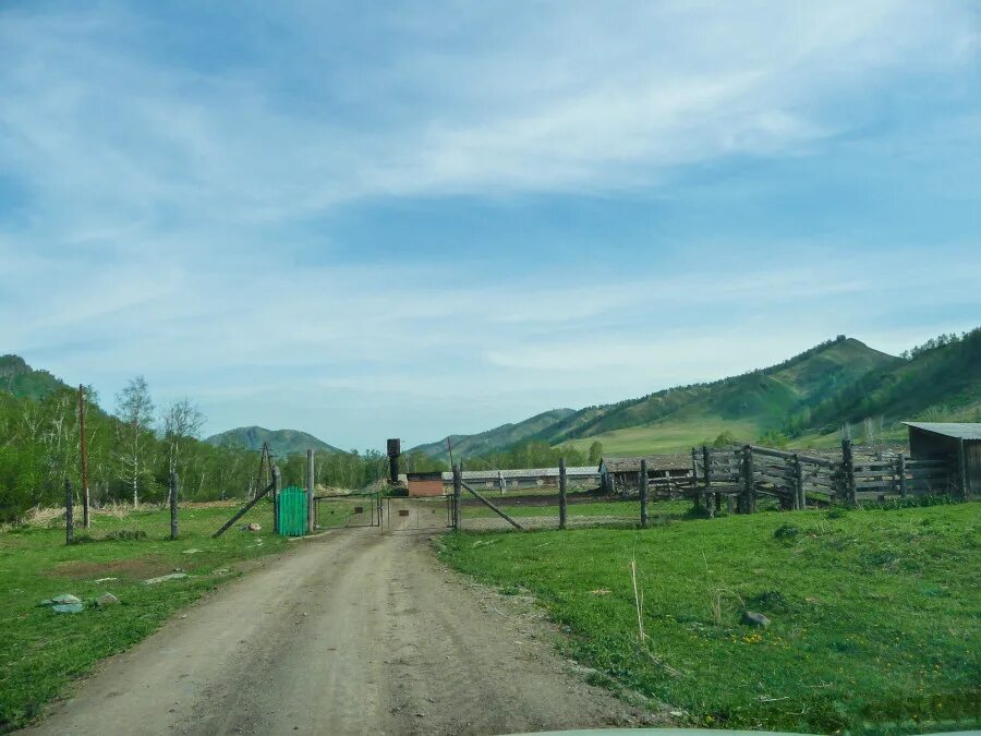 Черга. Село камай республика алтай. Село черга горный алтай. Черга горный алтай достопримечательности. Село мыюта республика алтай.