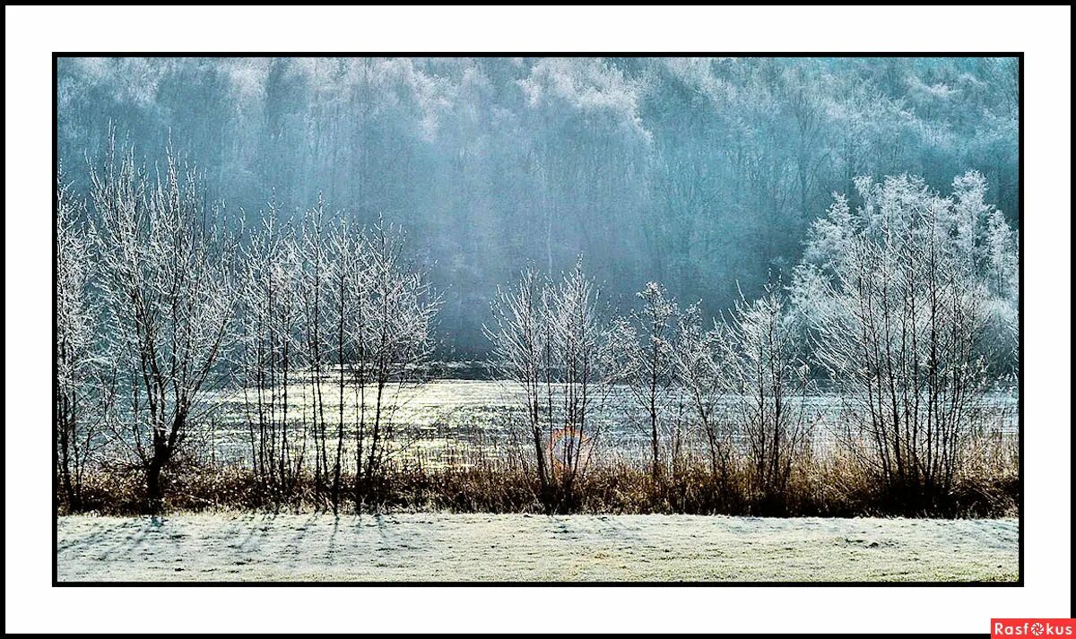 залитый солнцем луг. город залитый солнцем. фотографии залитые солнцем. фото воспоминания о прошлом на море. залитые солнцем слушать.