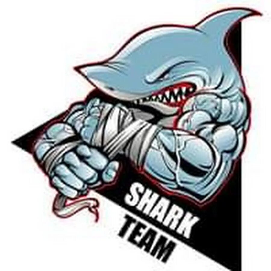 Shark Team. Шарк тим картинка. Shark Team DM. Shark Team рр4. Раскрутка сайта team shark