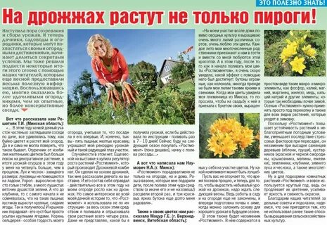 Рост инструкция