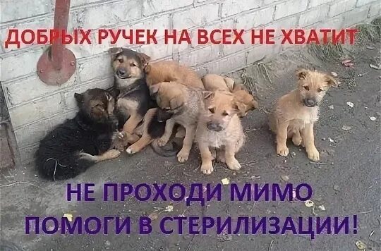 Прошел мимо и не помог