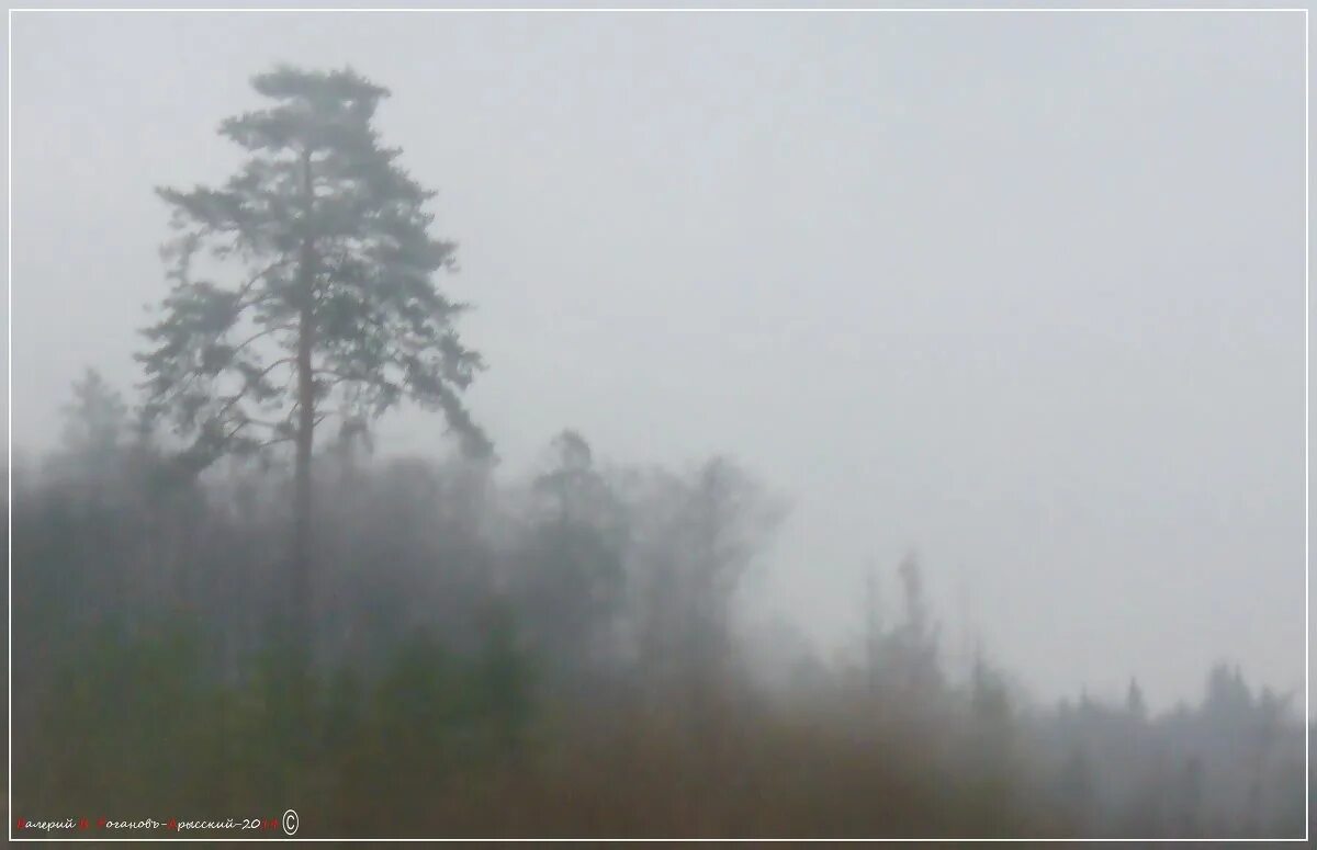 Туман сплошная пелена. Туман туман Седая пелена слушать. Туман туман Седая пелена Су-25.