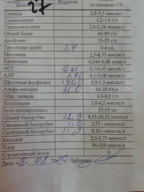 Моча при молочнице. Направление на анализ крови для биохимического исследования. Биохимия крови пример анализа. Анализ крови биохимия норма пример. Биохимический анализ крови норма бланк.