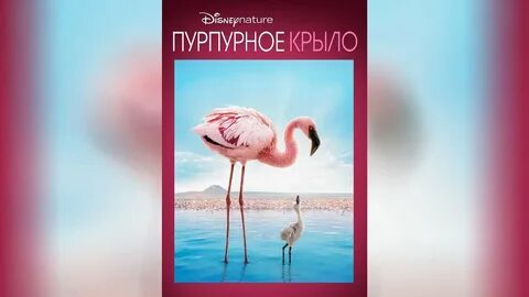 Крыл 2008