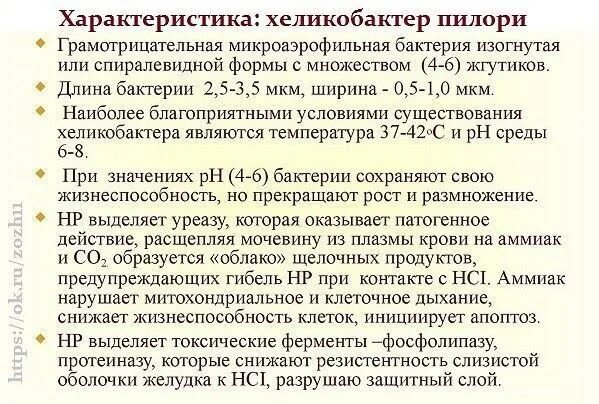 Хеликобактер анализ положительный что. Показатели хеликобактер пилори. Хеликобактер пилори показатели нормы. Хеликобактер пилори норма в крови у женщин. Хеликобактер пилори положительный.