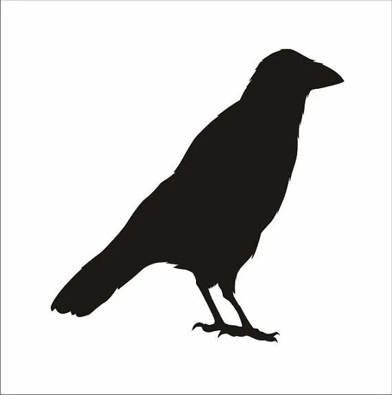 Файл:Carrion crow 20090612 silhouette.svg - Википедия