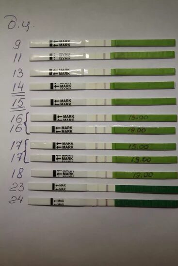 Тест 2 полоски перед месячными. Тесты до задержки месячных. Тест за 2 дня до задержки. Покажет ли тест на беременность до задержки месячных за 3 дня. Положительный тест на овуляцию 23 день цикла.