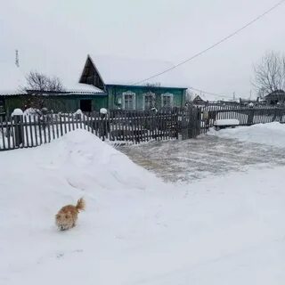 Володино томская область