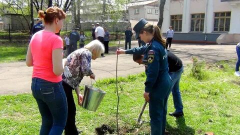 Вырасти во дворе