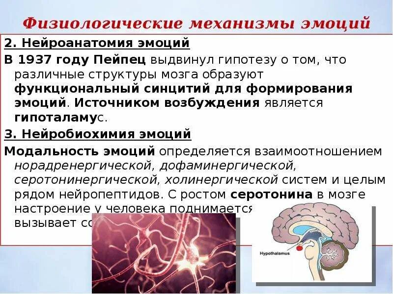 Механизмы проявления эмоций. Физиологические механизмы эмоций и чувств. Физиологические механизмы возникновения эмоций. Нейроанатомия эмоций. Источники чувств человека