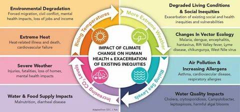 The threat to the environment