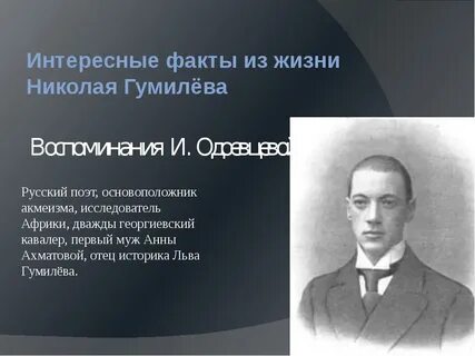 Жизнь н гумилева