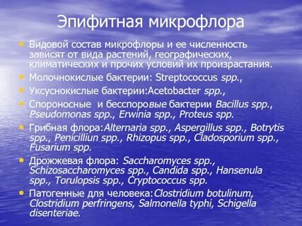 Видовой состав микрофлоры