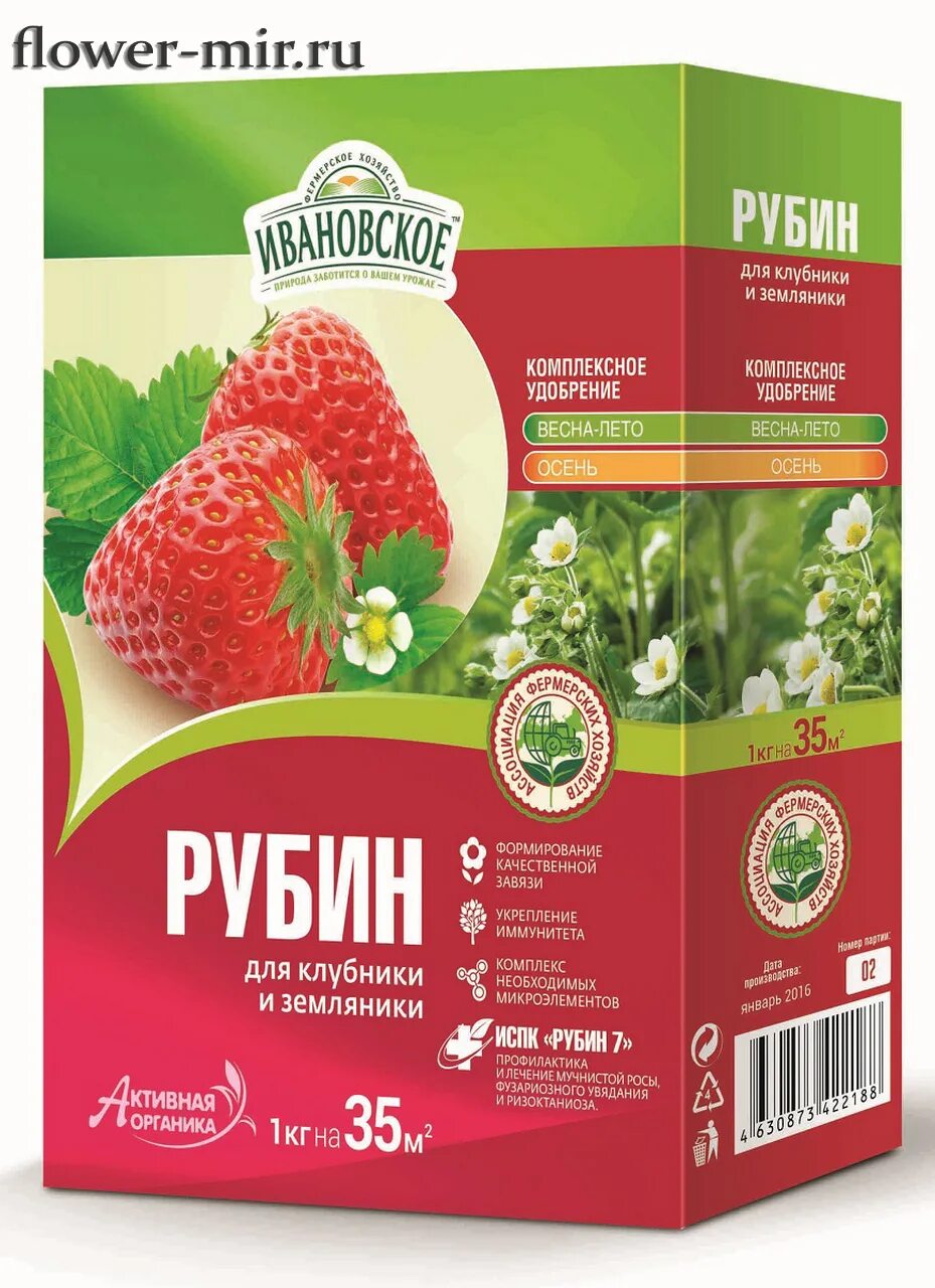 Удобрение для земляники. Клубничный рекорд удобрение инструкция по применению для клубники. Удобрение для земляники. Удобрения для клубники летом. Удобрение для земляники.