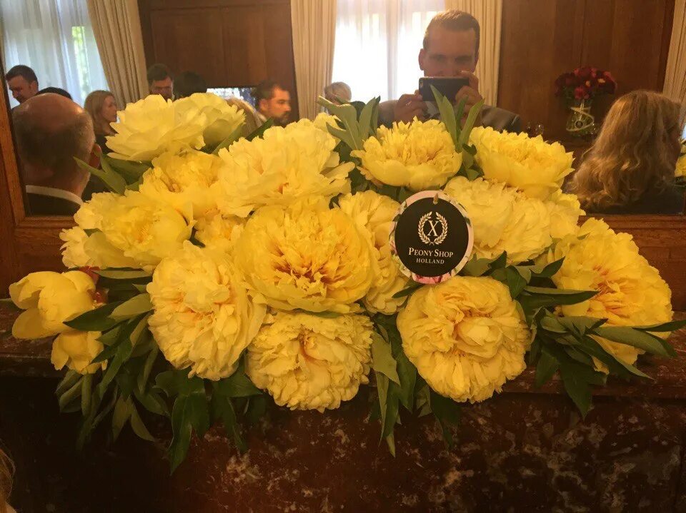 Пион сонома йедо. Sonoma yedo ~ itoh hybrid пион. Sonoma yedo itoh hybrid. Пион сонома йедо. Sonoma yedo пион описание.