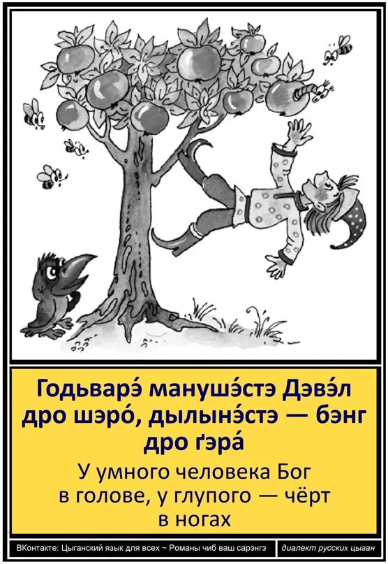 Дурная голова пословица. Рисунок к сказке за дурной головой ногам работа. Картинка глупость и ум раскраска. За дурной головой сказка. За дурной головой ногам работа сказка.