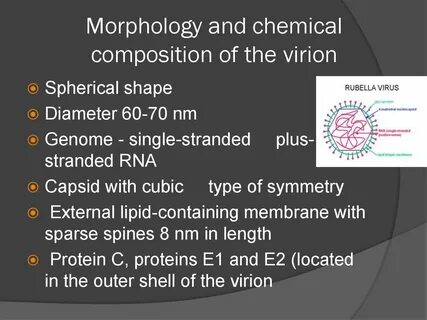 Rubella virus отрицательный