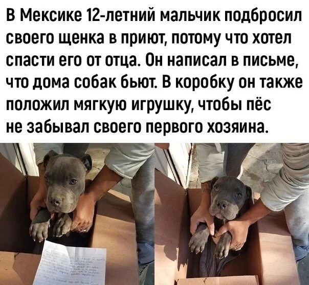Грустные рассказы про. Грустные рассказы. грустные истории. грустные истории из жизни. печальная история.