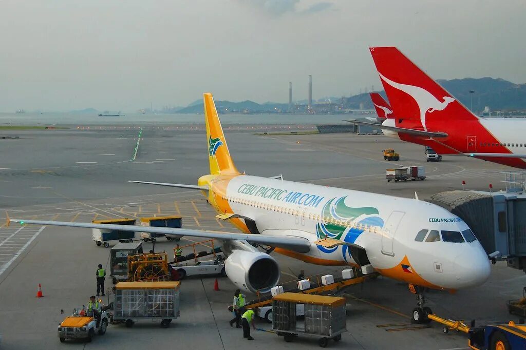 Авиакомпания cebu pacific. Себу пасифик. Себу филиппины авиакомпания. Вьетнамский самолет пассажирский. Cebu pacific.