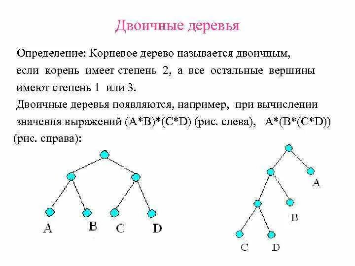 В графе 2 вершины имеют степень 11. Бинарное дерево. Двоичное дерево. Корневое двоичное дерево. Код корневого дерева.