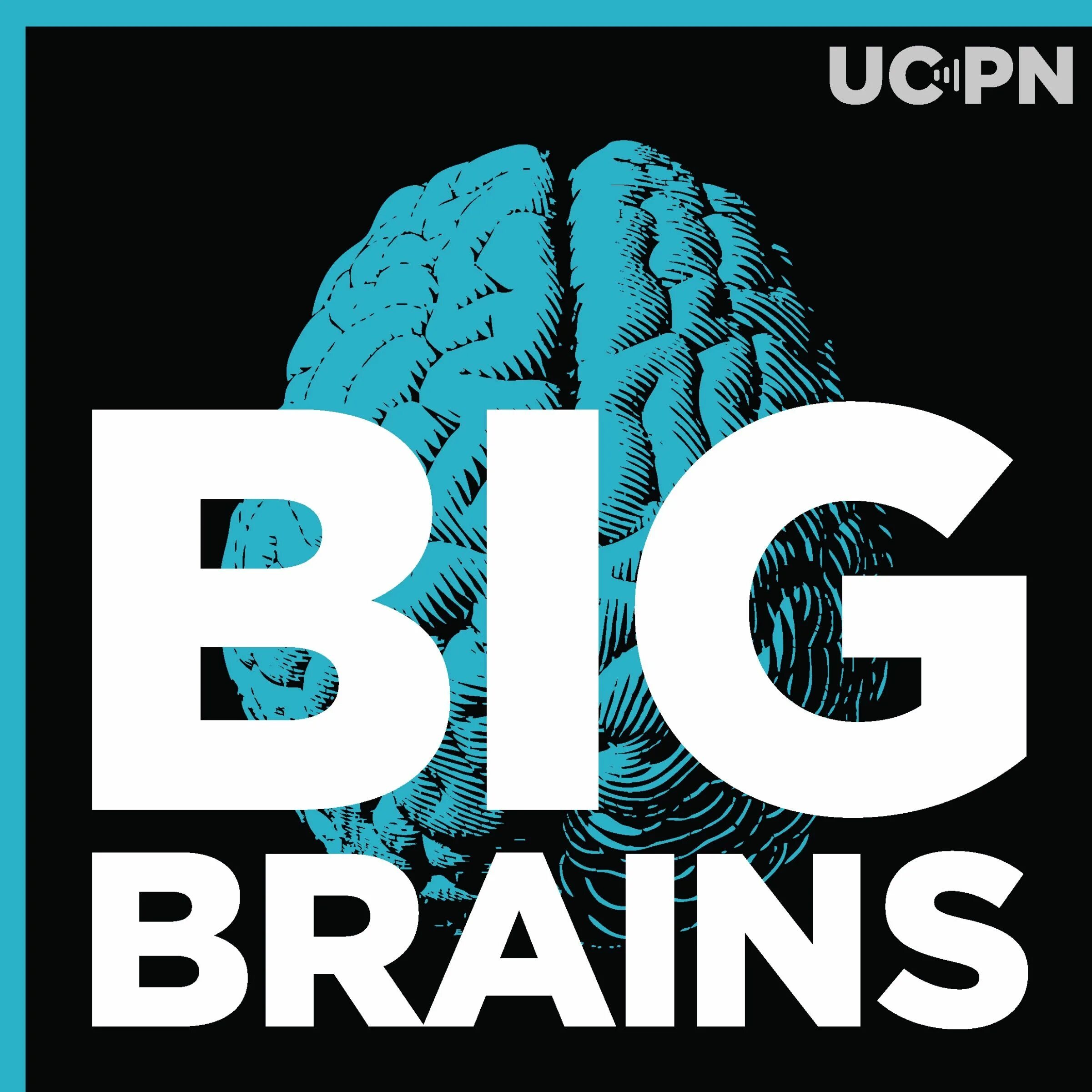 Английский brains. Биг Брейнс. Big Braun. Биг мозг. Картинка big Brain.