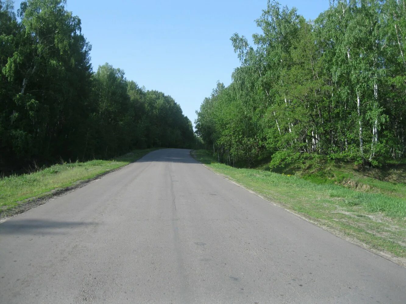 Село Ягодная Поляна Саратовская область. Село Ягодная Поляна Татищевского района. Ягодная Поляна Саратовская область Татищевский. Саратов Ягодная Поляна Татищевский район. Ягодную поляну татищевского района саратовской области