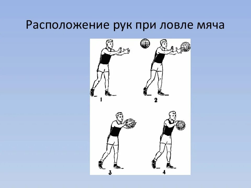 Как осуществляется подача мяча в пионерболе. Бросок мяча дети передача снизу. Броски и ловля мяча. Бросок мяча через сетку.. Техника ловли мяча в пионерболе.