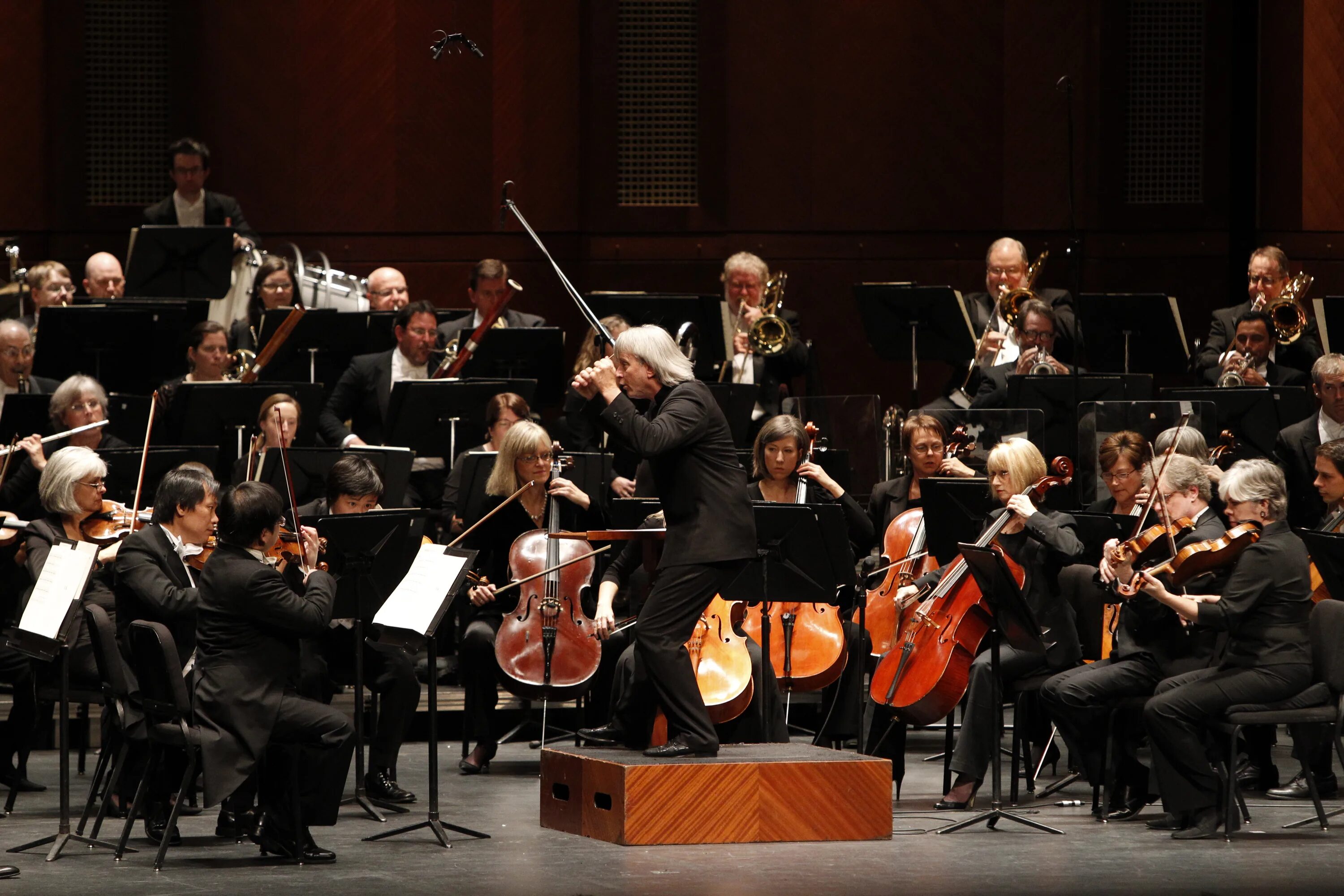 Orchestra de. Мариинский театр зал прокофьева. Ольстерский симфонический оркестр. Амстердамский филармонический оркестр. Музыканты симфонического оркестра.