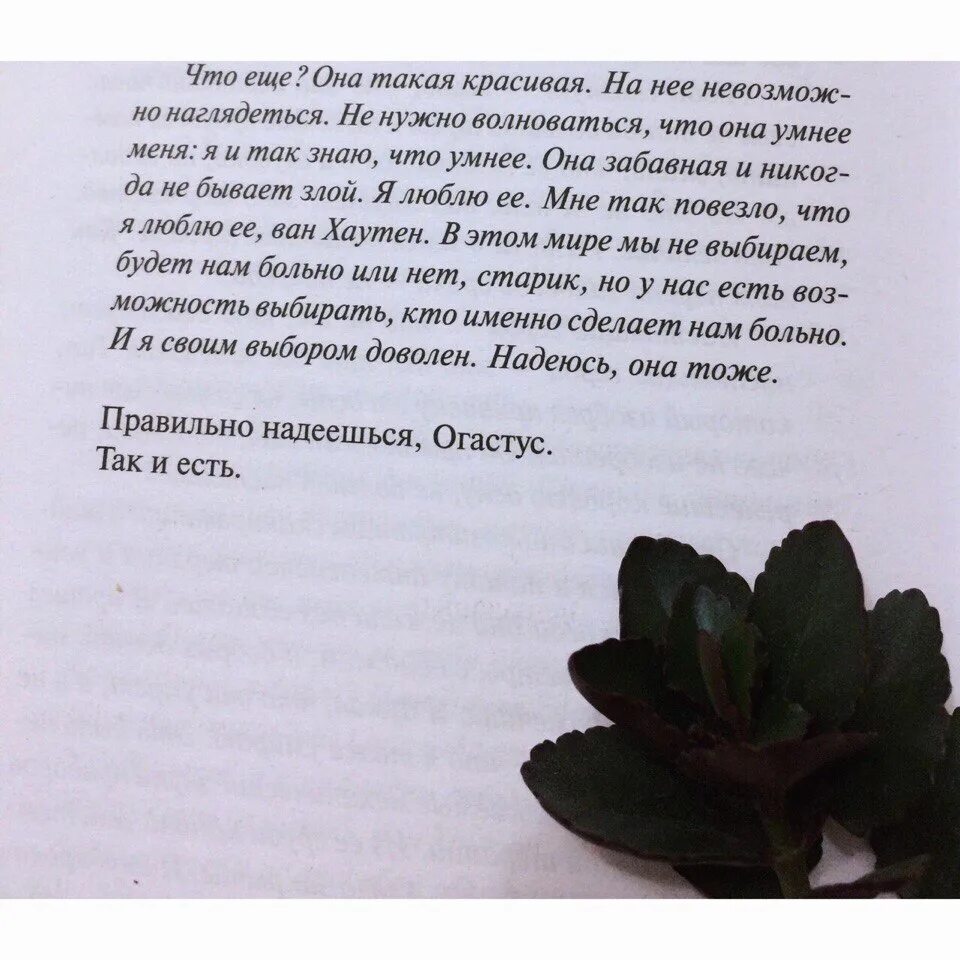 Я надеюсь она смотрит на меня. Я своим выбором доволен надеюсь она тоже. Грин виноваты звезды книга. В этом мире мы не выбираем будет нам больно или нет. Цитата Джон Грин нам сложно понять.