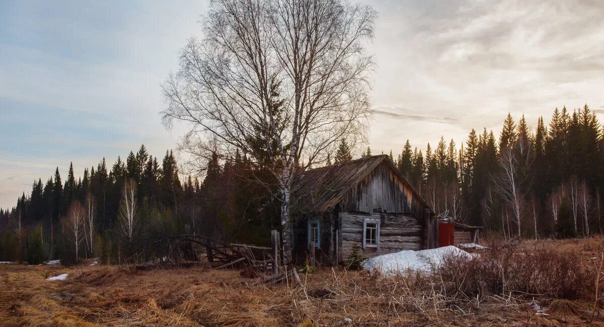 некрасов в деревне. стихотворение забытая деревня. деревеня вяко-рысна. родни6к деревни слакбашево белеб9ейского района. забытая деревня слушать.