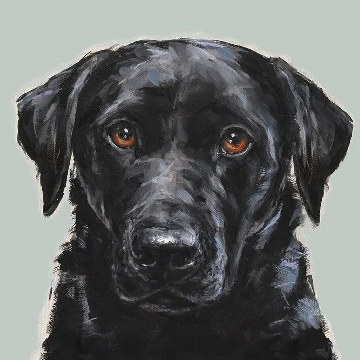 Черные большие рисунки. Черный лабрадор картина. Черный лабрадор Гром. Чёрные собаки живопись. Черная собака портрет.