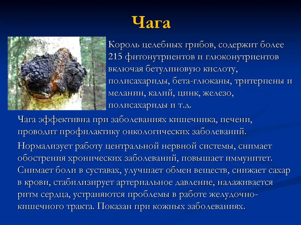 Чага свойствами обладает. Чага. Чага железо. Чага польза. Для чего полезна чага.