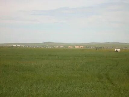 Мирная кинель