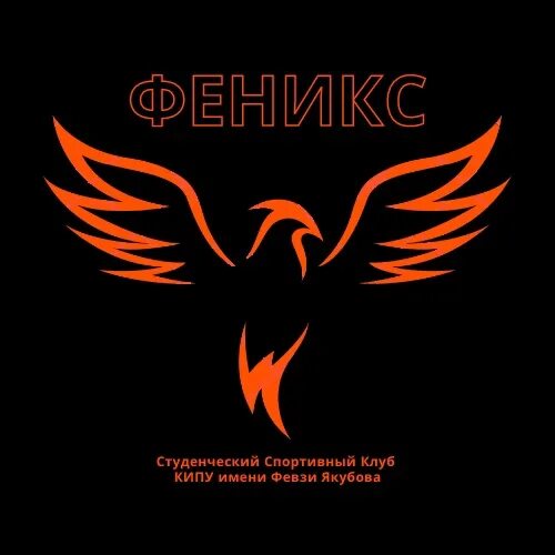 Клуб феникс петрозаводск. Волонтерский клуб. Клуб феникс. Дфк феникс. Club.