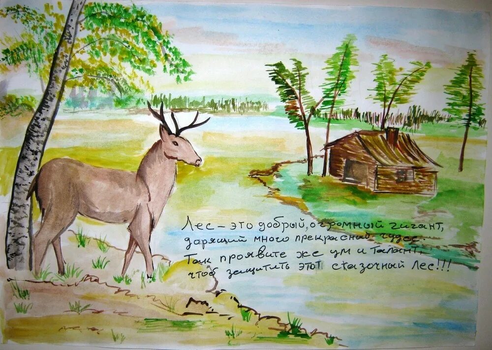 Конкурс рисунков леса. Лес наш главный интерес рисунки. лес наша жизнь конкурс рисунков. лес наша жизнь рисунки. лес наш общий интерес рисунок.