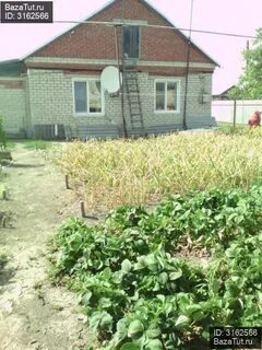 Погода ревино саратовская область красноармейский