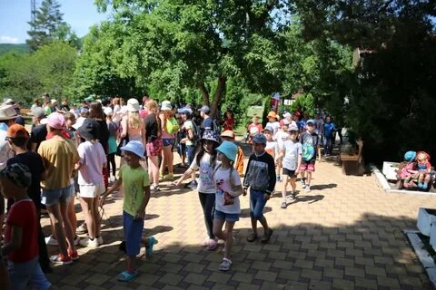 Оздоровление сотрудников