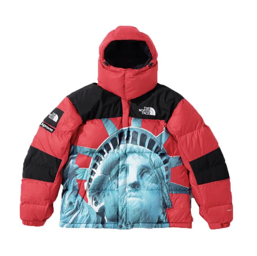 Купить supreme x. Пуховик the North face 700 Supreme. The North face Supreme пуховик. The North face x Supreme пуховик Statue of Liberty. The North face x Supreme пуховик.