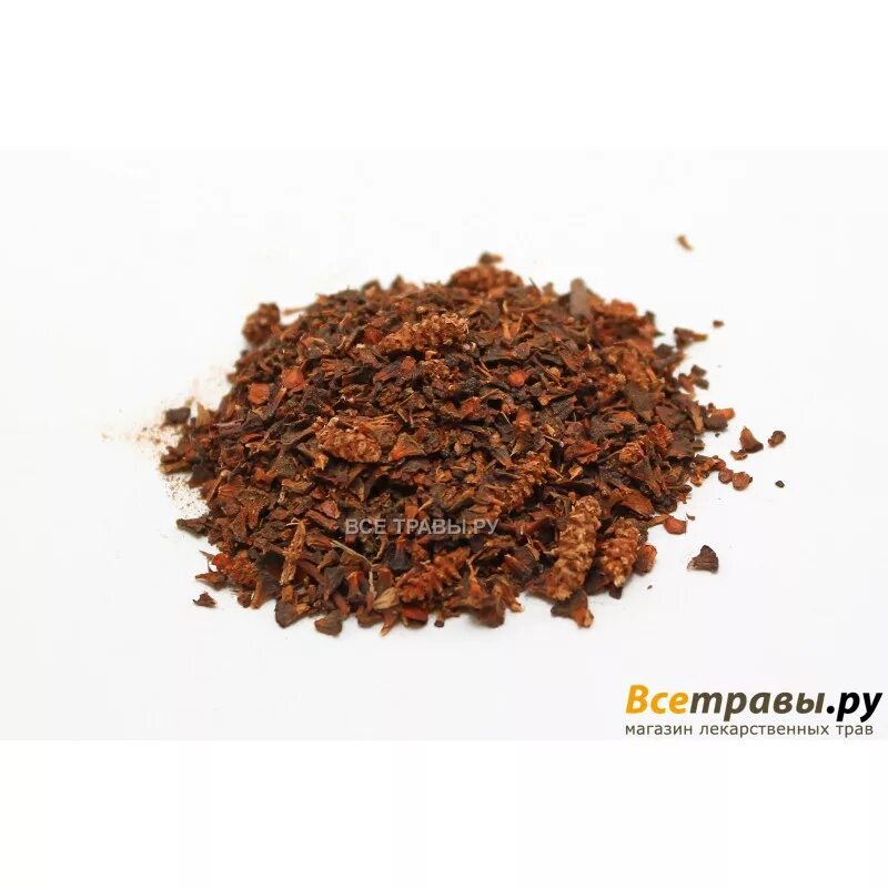 шишки ольхи трава. ольха аптека. ольха соплодия 50 г. ольхи соплодия 1,5г №20. соплодия ольхи высушенные.