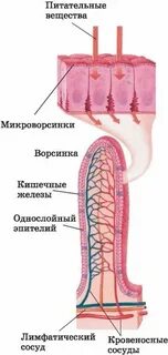 Ворсинки цифра 2