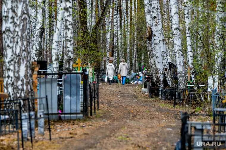 Им. Кладбище спичфабрика томск. Кладбище боровое тюмень. Южное кладбище, посёлок южный. Кладбища поселок.