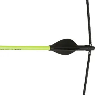 Archer 100