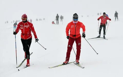 Сборная лыжников