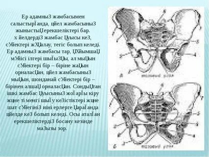 Жалаңаш майлы жамбас фотосы