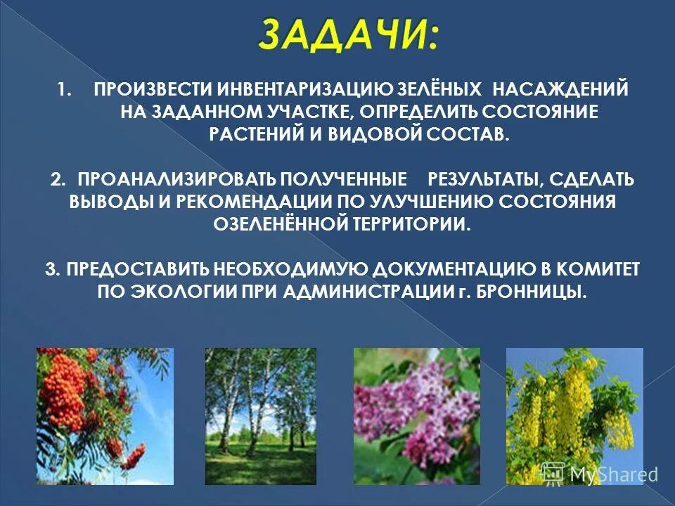 об охране зеленых насаждений. роль зеленых насаждений. об охране зеленых насаждений. 743 пп правила создания содержания и охраны зеленых насаждений купить. об охране зеленых насаждений.