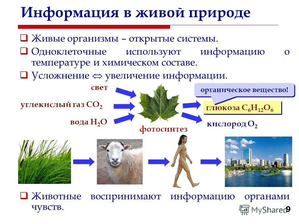 увеличение сообщение