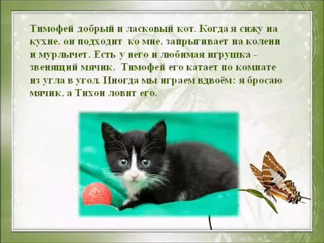 Сочинение про домашнего питомца 5 класс. Сочинение моё любимое животное. Сочинение про домашних животных. Сочинение про кота. Сочинение мой кот.