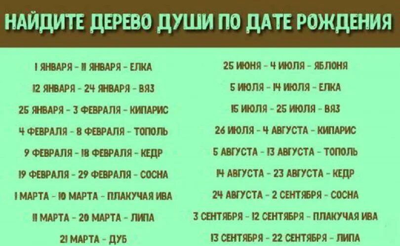 Как узнать свое дерево. Дерево по дате рождения. как определить своё дерево по дате рождения. гороскоп деревьев по дате рождения. дерево которое подходит по дате рождения.