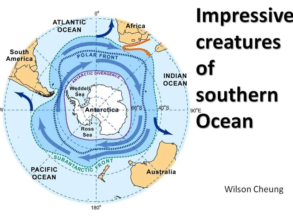 Направление течения южного океана